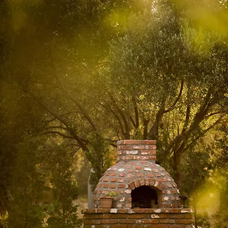 Byelka Ayvalık Oda ve Kahvaltı *